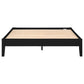 Hounslow Queen Universal Platform Bed Black