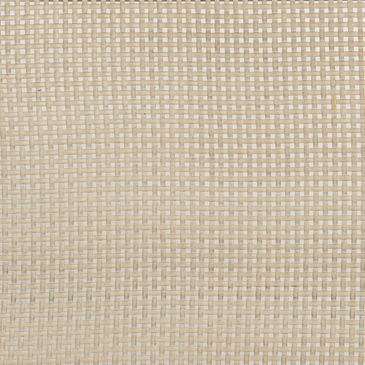 Kailani Rattan Cane Counter Side Chair Beige Oak (Set of 2)
