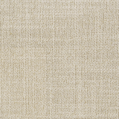 Arini 56-inch Queen Panel Bed Cream and Black