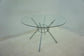 Steele 48-inch Round Glass Top Dining Table Chrome