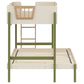 Evren Twin-over-Full Bunk Bed with Trundle and Ladder Tri-Tone