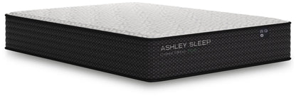 Ashley Express - Limited Edition Plush  Mattress