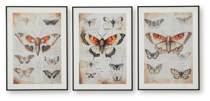 Ashley Express - Jossletts Wall Art Set (3/CN)