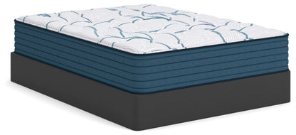 Ashley Express - Limited Edition Plush 3.0  Mattress