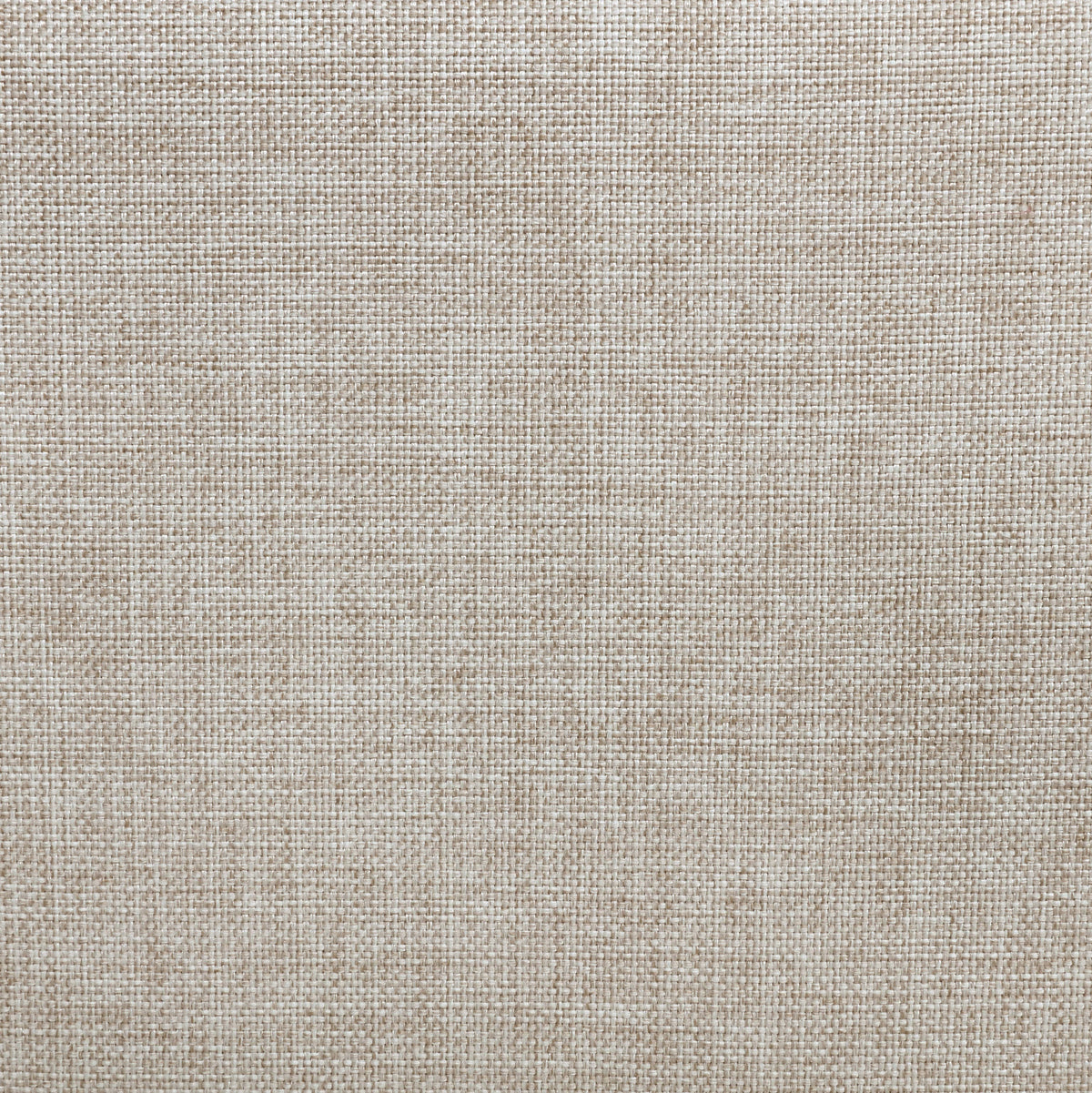 Devon 57-inch Upholstered Queen Panel Bed Beige