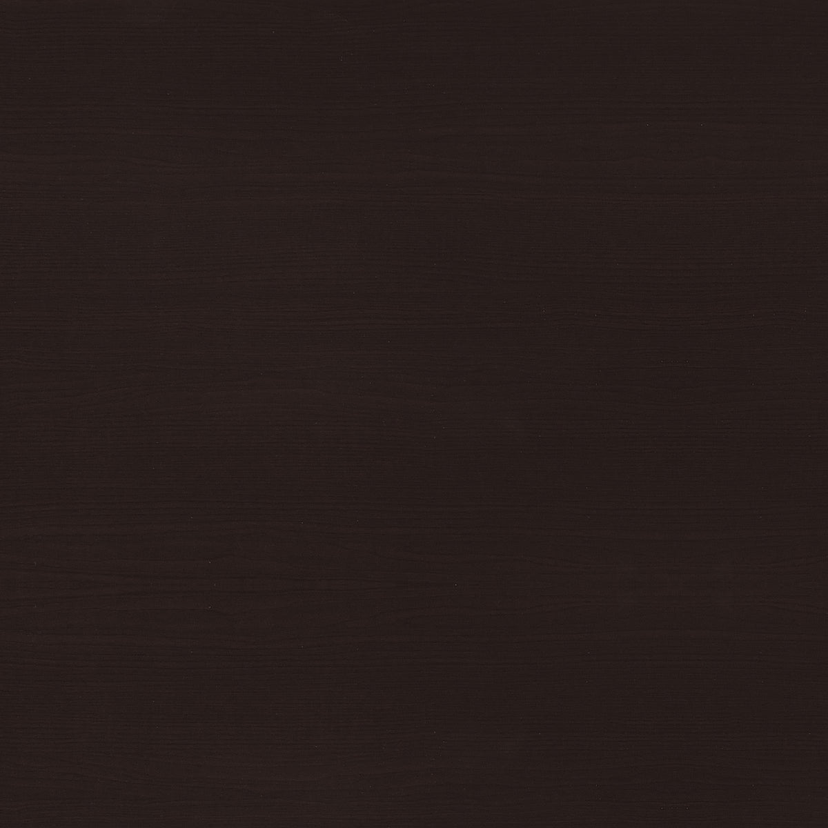 Halston 47-inch 2-drawer Office Desk with Cabinet Cappuccino