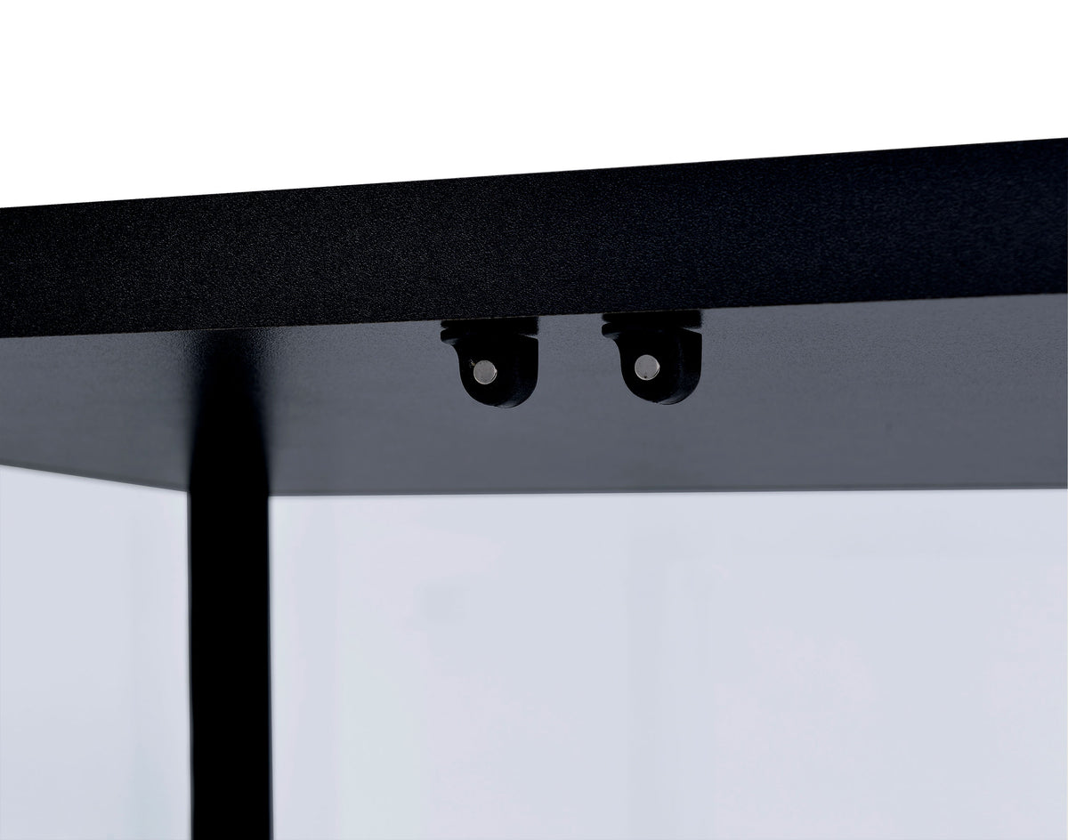 Delphinium 4-Shelf Clear Glass Curio Display Cabinet Black